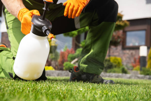 Best Residential Pest Control  in Carson City, NV