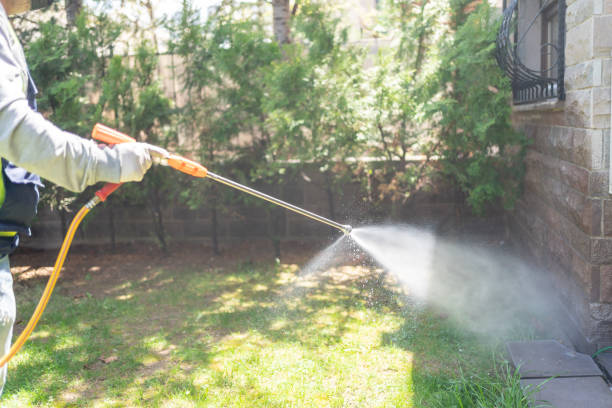 Flea Control Services in Carson City, NV